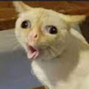 Meet your Posher, Maryam